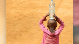 958x768-mostra-plateau