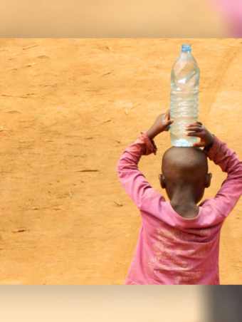 958x768-mostra-plateau