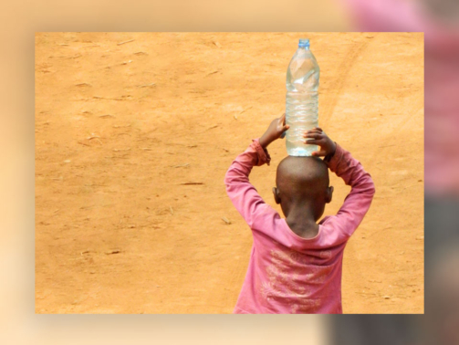 958x768-mostra-plateau