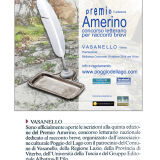 2014-02-03-corriere-di-viterbo